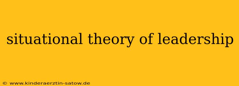 situational theory of leadership
