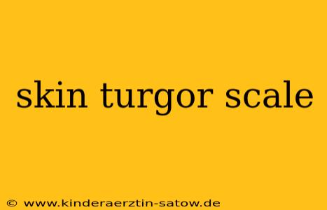 skin turgor scale