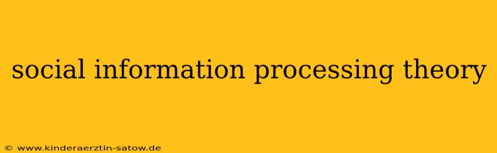 social information processing theory