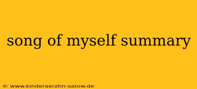 song of myself summary