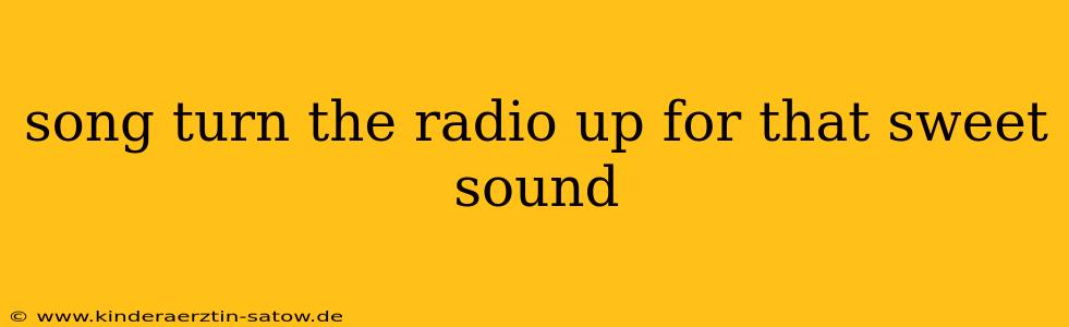 song turn the radio up for that sweet sound