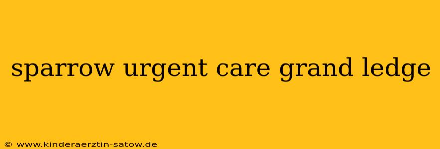 sparrow urgent care grand ledge