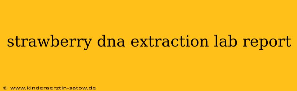 strawberry dna extraction lab report