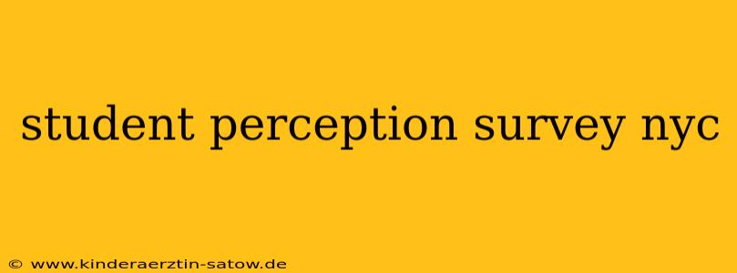 student perception survey nyc