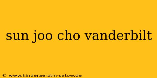 sun joo cho vanderbilt