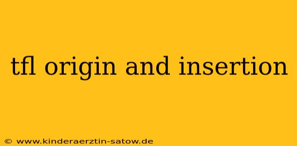 tfl origin and insertion