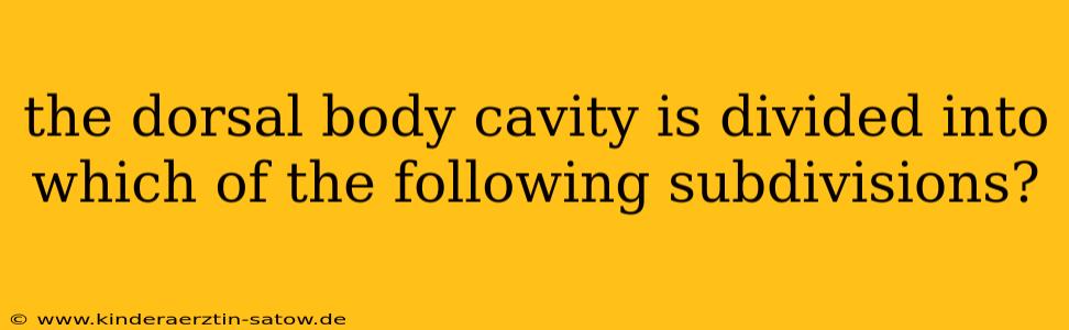 the dorsal body cavity is divided into which of the following subdivisions?