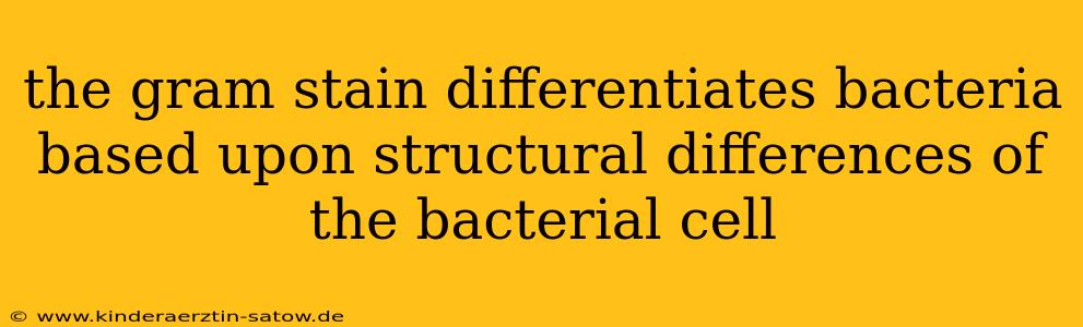 the gram stain differentiates bacteria based upon structural differences of the bacterial cell
