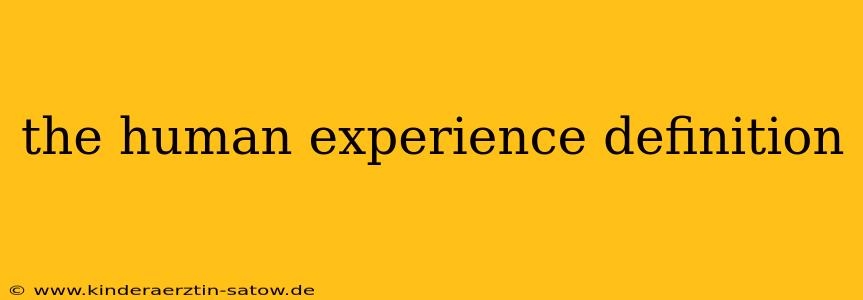 the human experience definition