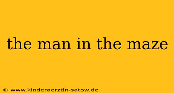 the man in the maze