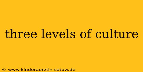 three levels of culture