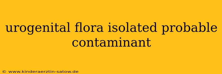 urogenital flora isolated probable contaminant