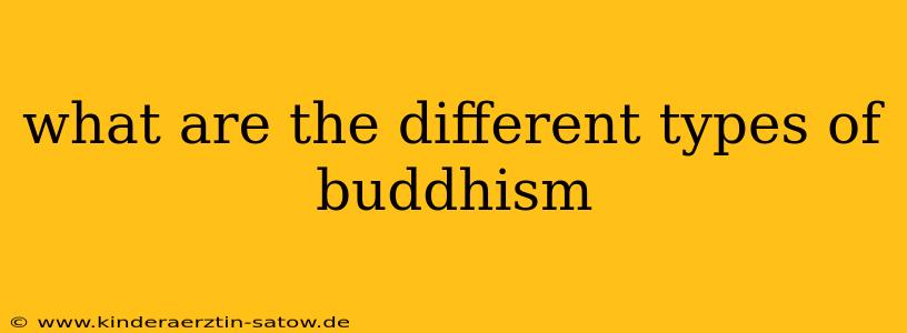 what are the different types of buddhism