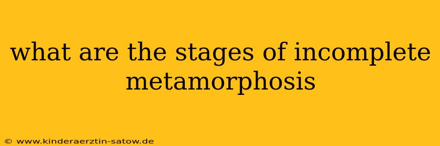 what are the stages of incomplete metamorphosis