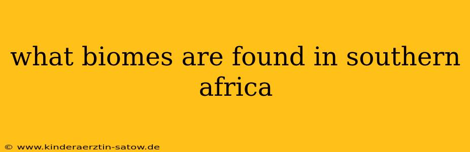 what biomes are found in southern africa