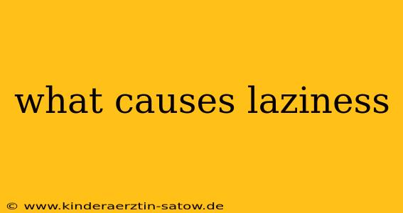 what causes laziness