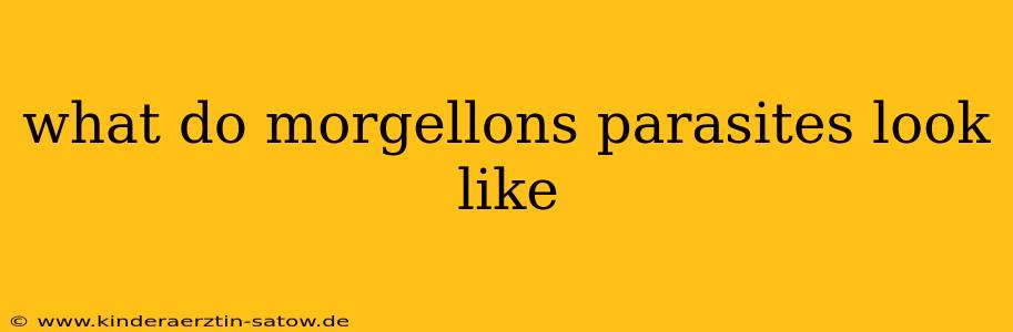 what do morgellons parasites look like