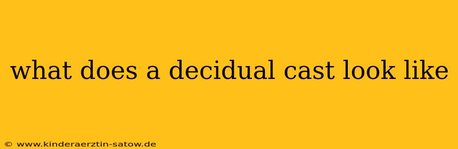 what does a decidual cast look like