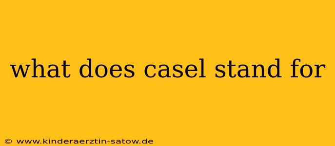 what does casel stand for
