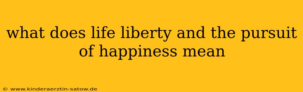what does life liberty and the pursuit of happiness mean