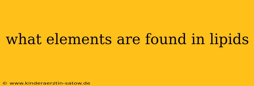 what elements are found in lipids