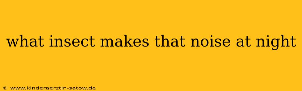 what insect makes that noise at night