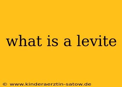 what is a levite