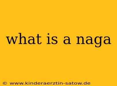 what is a naga