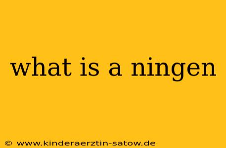 what is a ningen