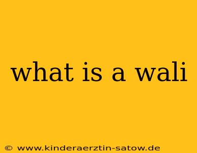 what is a wali