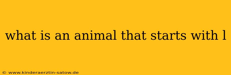what is an animal that starts with l
