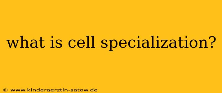 what is cell specialization?