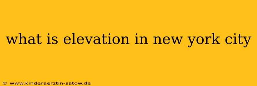 what is elevation in new york city