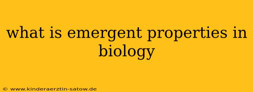 what is emergent properties in biology