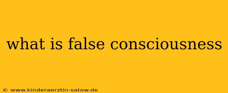 what is false consciousness