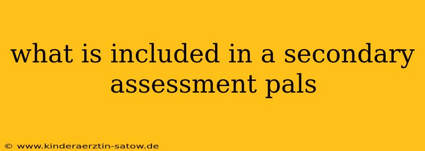 what is included in a secondary assessment pals