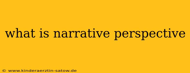 what is narrative perspective