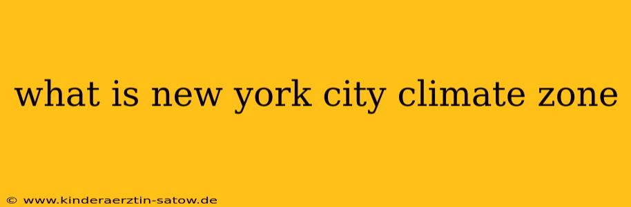 what is new york city climate zone