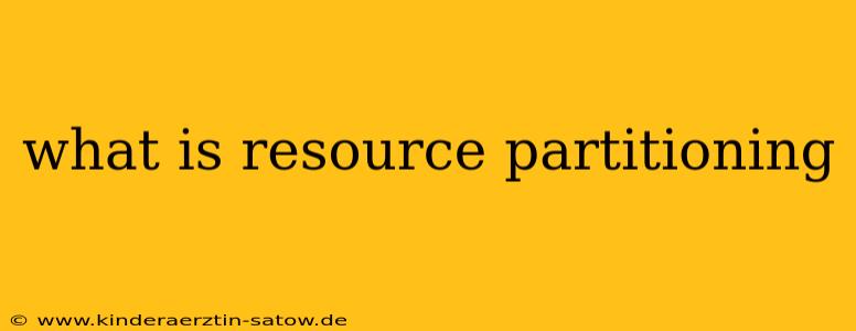 what is resource partitioning
