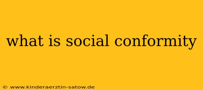 what is social conformity