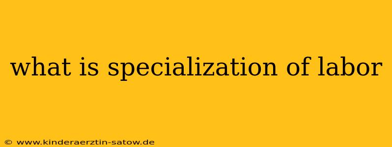 what is specialization of labor