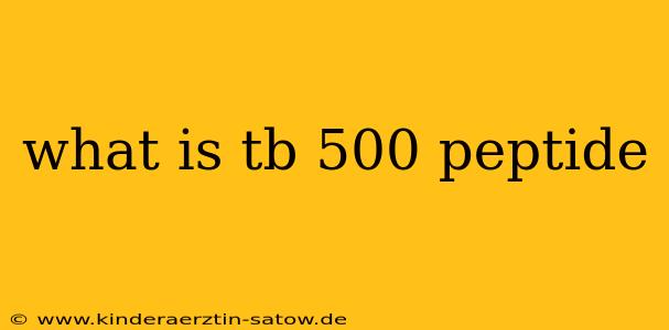 what is tb 500 peptide