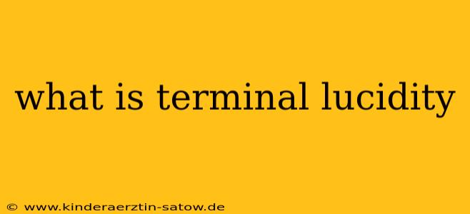 what is terminal lucidity