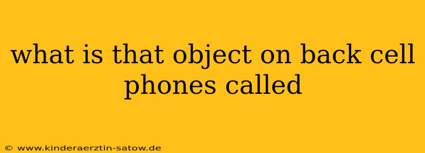 what is that object on back cell phones called