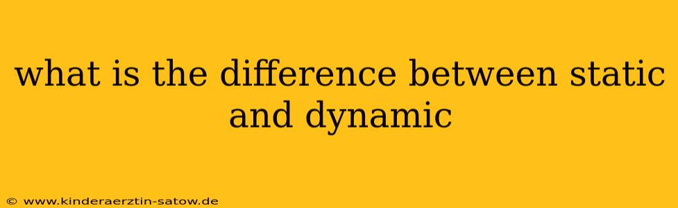 what is the difference between static and dynamic