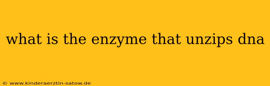 what is the enzyme that unzips dna
