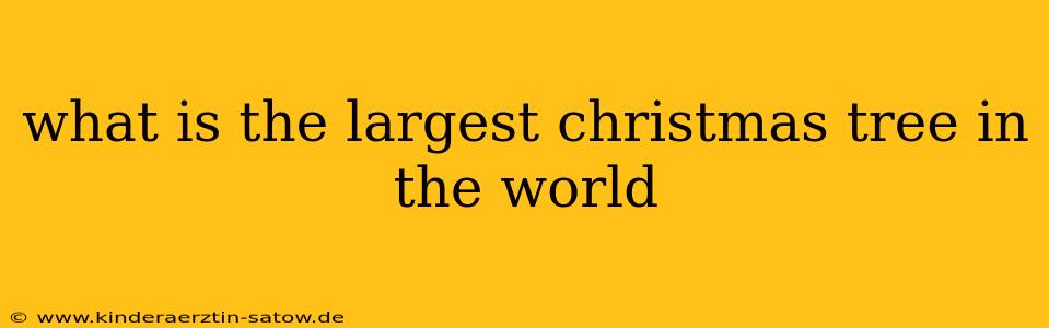 what is the largest christmas tree in the world