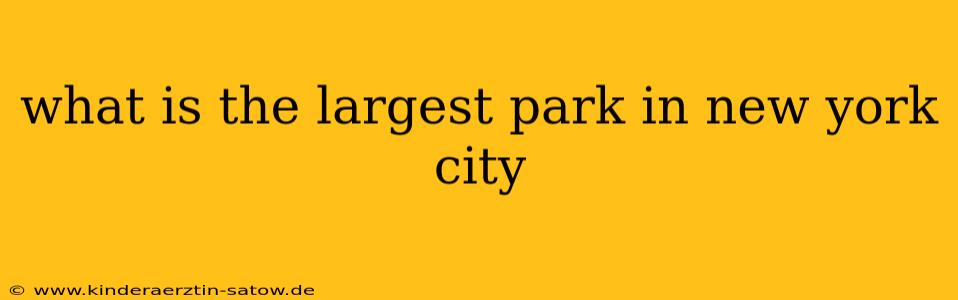 what is the largest park in new york city