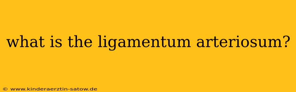 what is the ligamentum arteriosum?