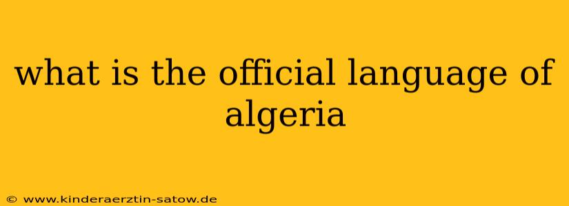 what is the official language of algeria